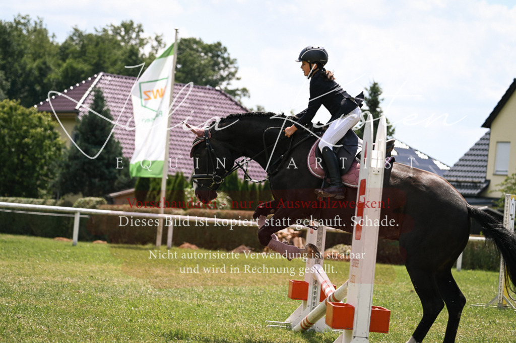 DSC_9361 | Pferde- und Turnierfotografie in Westsachsen. Pferdeportraits, Auftragszeichnungen und intuitive Kunst.