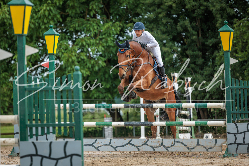 20260530-_3LI2761 | Tierfotografie Pferde, Hunde, Katzen, Haustiere.
Turnierfotografie Reitturniere, Reiten, Springreiten, Dressur in Hanau, dem Main-Kinzig-Kreis und dem Rhein-Main- Gebiet um Frankfurt