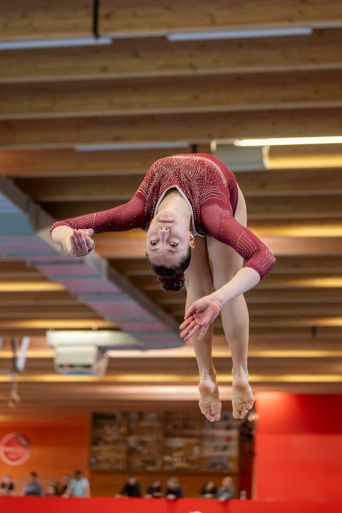 _DSC2650_DxO-1 | photoluigi