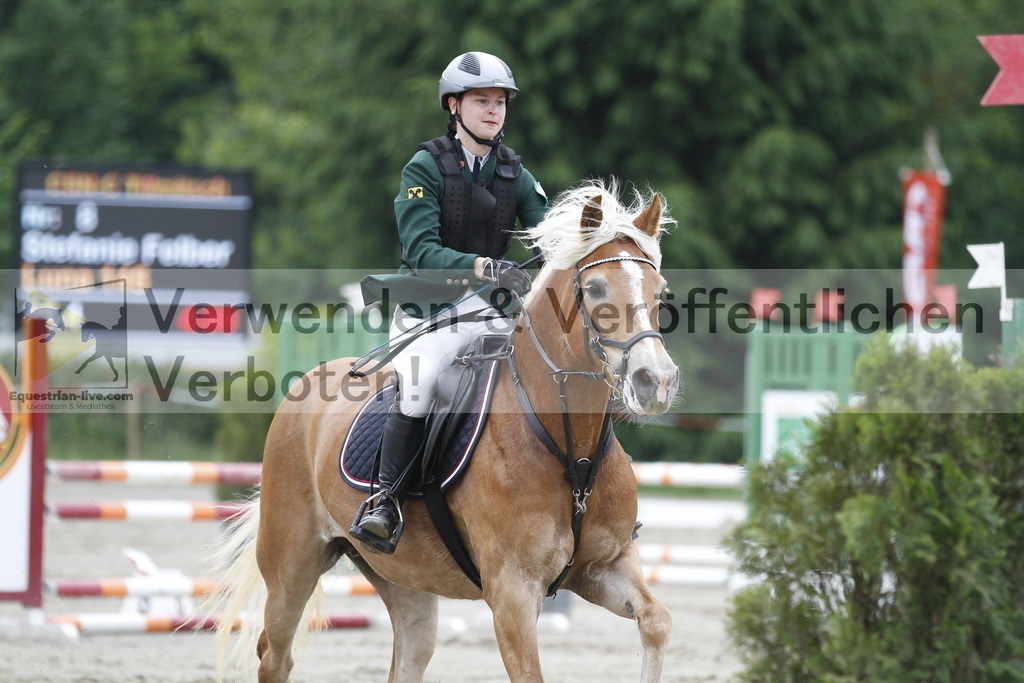 _MG_6766 | equestrian-live-com