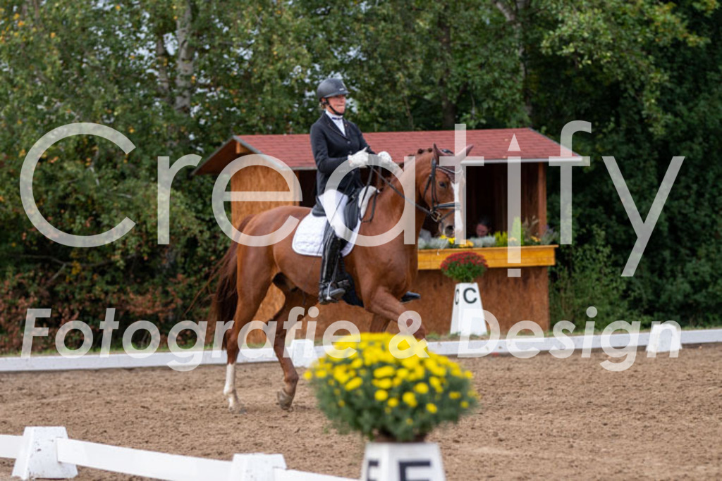 IMG_5018 | Creatify Fotografie