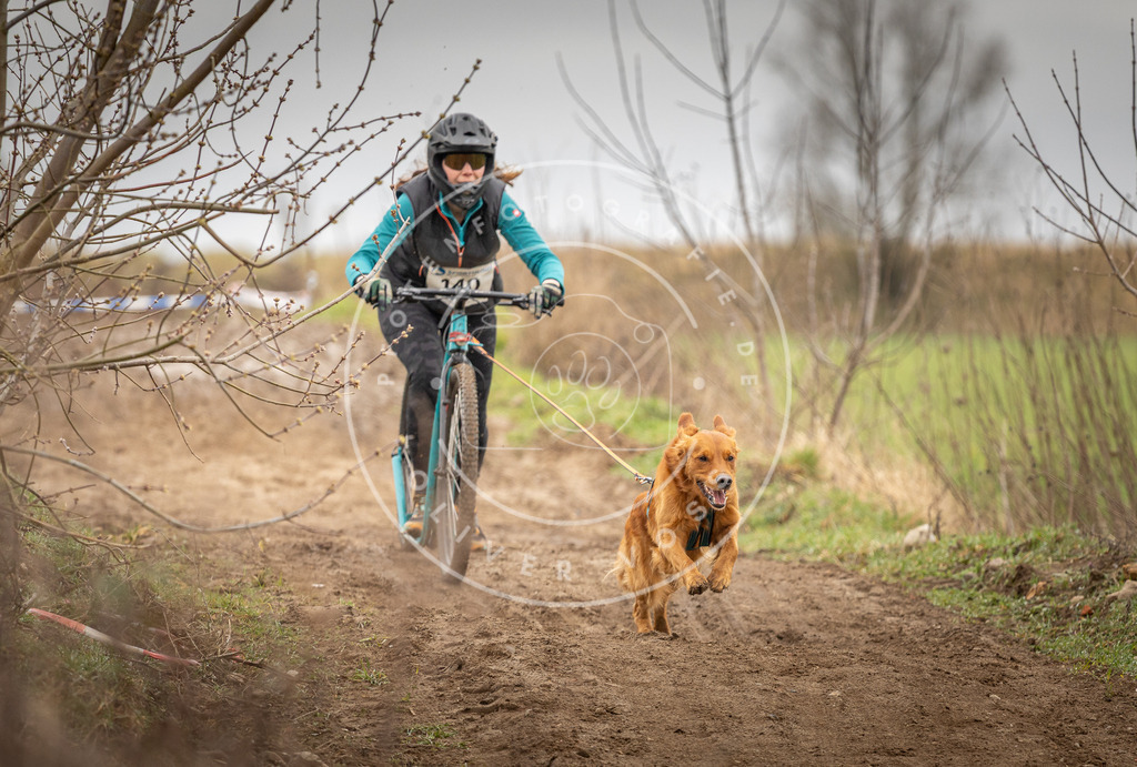 DV3A1439 | Hundefotografie, Tierfotograf, Pfotenfotografie, Fotoshooting Hund, Hunde Portrait, Hundesport, Hundeportraits, Heideshooting, Hunde, Sportfotograf, Hundefotograf, Turnierhundsport, THS,  - Realisiert mit Pictrs.com