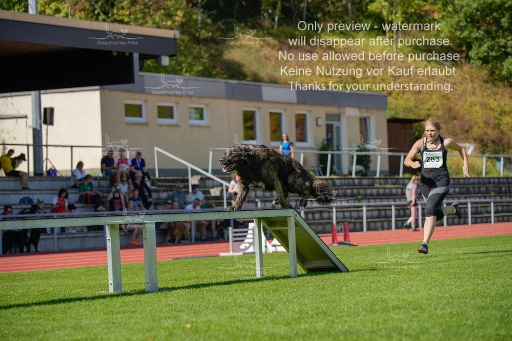 Sonntag_VK Hindernis (559 von 671) | stephaniefillaphotographie - Realisiert mit Pictrs.com