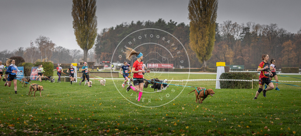 CaniXpix_DV3A8829 | Hundefotografie, Tierfotograf, Pfotenfotografie, Fotoshooting Hund, Hunde Portrait, Hundesport, Hundeportraits, Heideshooting, Hunde, Sportfotograf, Hundefotograf, Turnierhundsport, THS,  - Realisiert mit Pictrs.com