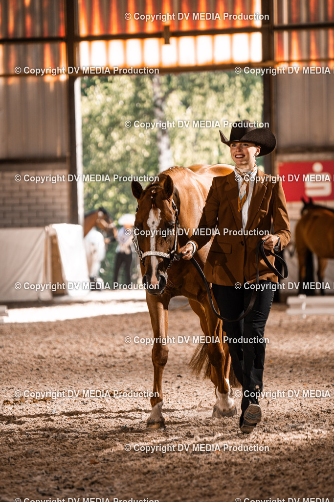 ZH200004 | dv-media-shop - Realisiert mit Pictrs.com