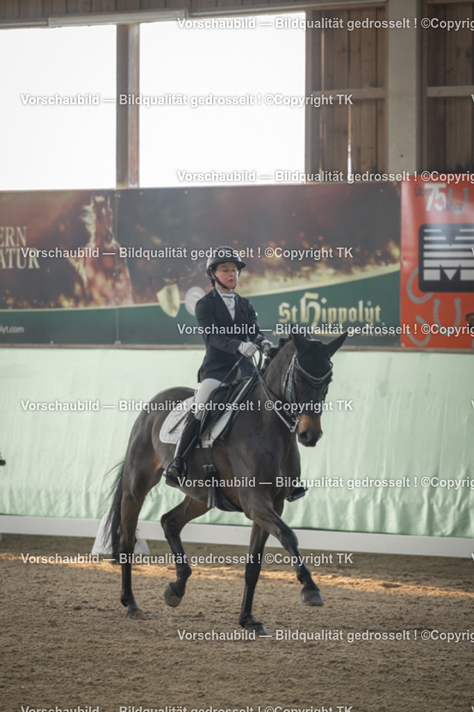 _D5A4069 | Emotionale Pferde- & People-Fotografie rund um Heidelberg, Leimen & Umgebung. Natürliche Fotos von Pferd, Mensch & Familie. Jetzt Termin sichern!