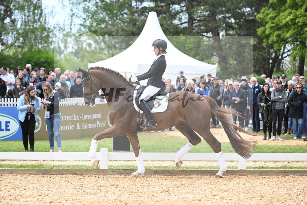 Bowmore_11230777 | hf-fotografie - Realisiert mit Pictrs.com