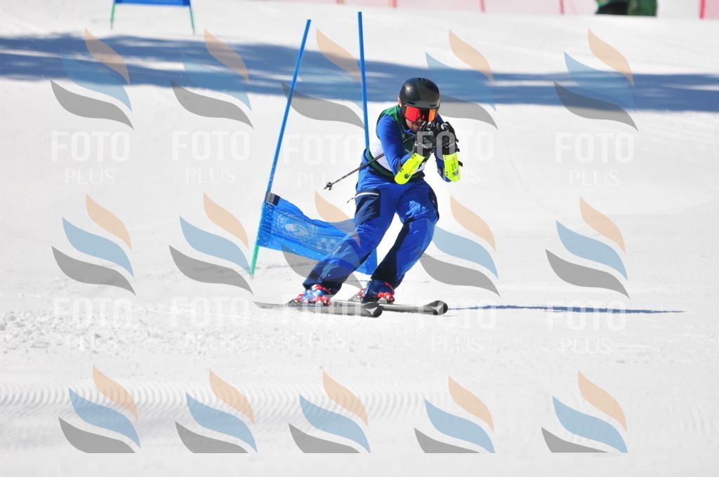 C3523 | holidayphoto