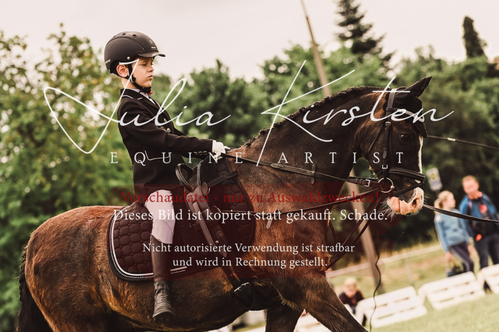 DSC_5290 | Pferde- und Turnierfotografie in Westsachsen. Pferdeportraits, Auftragszeichnungen und intuitive Kunst.