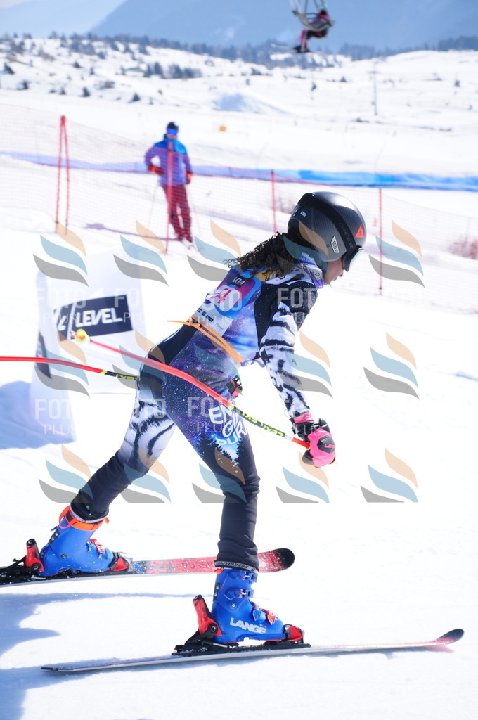 DSC_4233 | holidayphoto