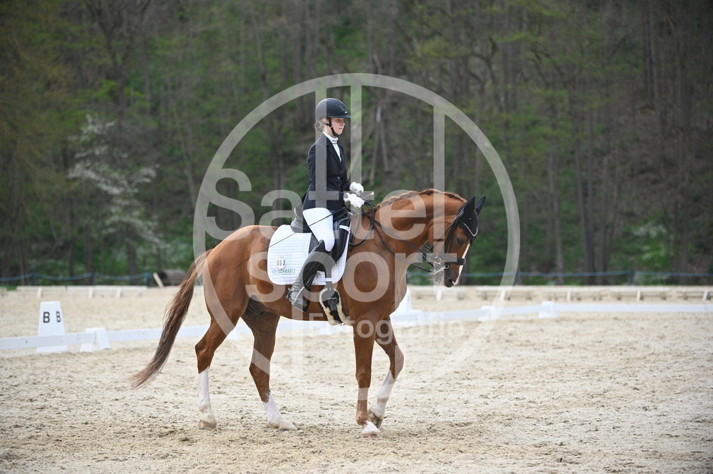 DSC_5135 | sattelsport - Realisiert mit Pictrs.com