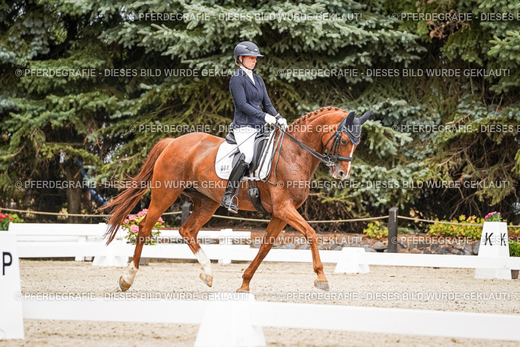 DSC04797 | Pferdegrafie