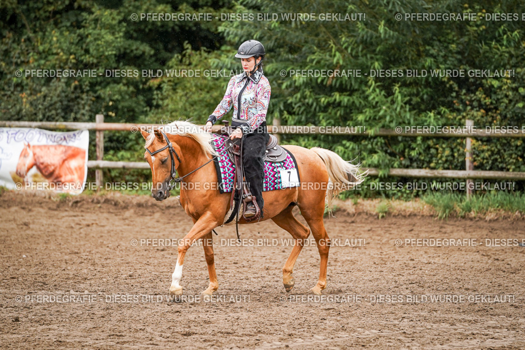 DSC05271 | Pferdegrafie