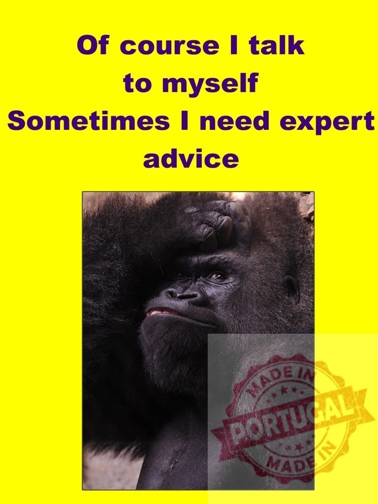 Gorilla covering face talking to self for expert advice | Gorilla covering face with hand while text explains talking to self for expert advice - Realisiert mit Pictrs.com