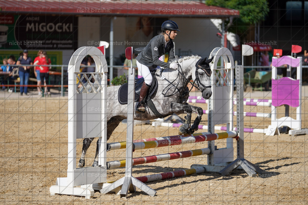 20240824-FAH07380 | Thierhaupten 2024, Bayerisches Landesponyturnier, Turnierbilder, Ponybilder, Turnierfotografen Bayern, Fotoagentur Herrmann