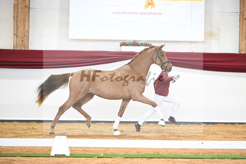 Kat-Nr. 52 v. Vaderland_Galneder_66220714 | hf-fotografie - Realisiert mit Pictrs.com