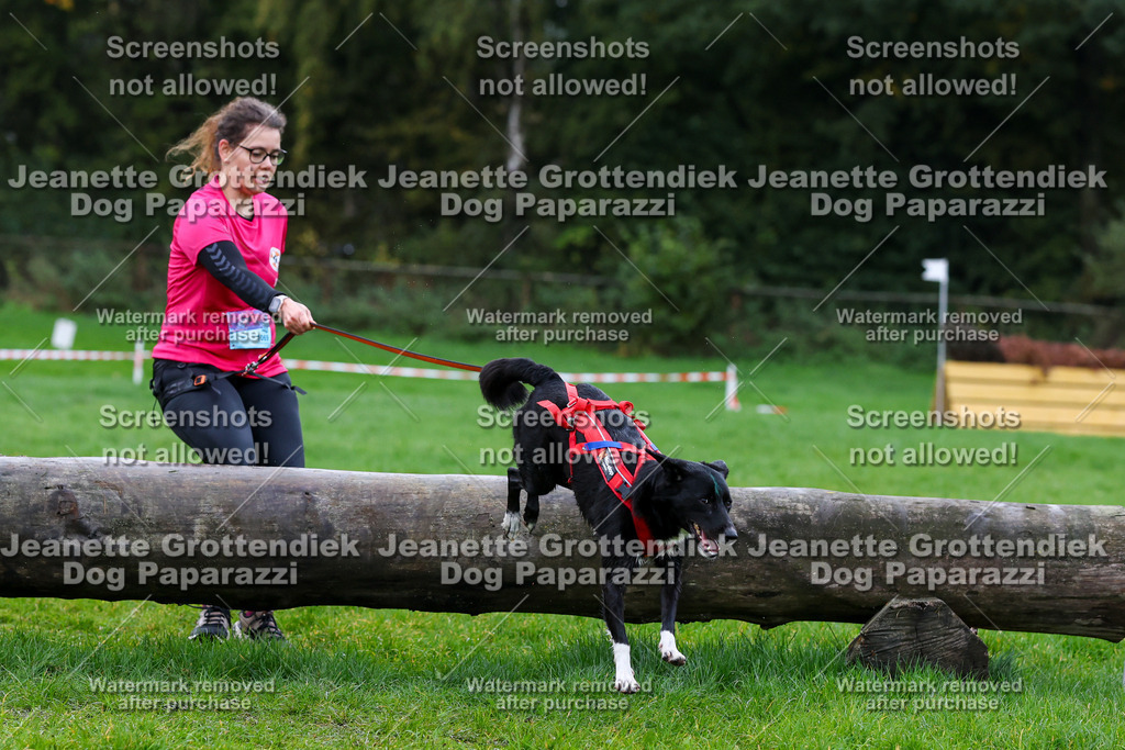 Dog Paparazzi -  SD1026-1285 | Dog Paparazzi Jeanette Grottendiek Fotografie & Videografie - Realisiert mit Pictrs.com