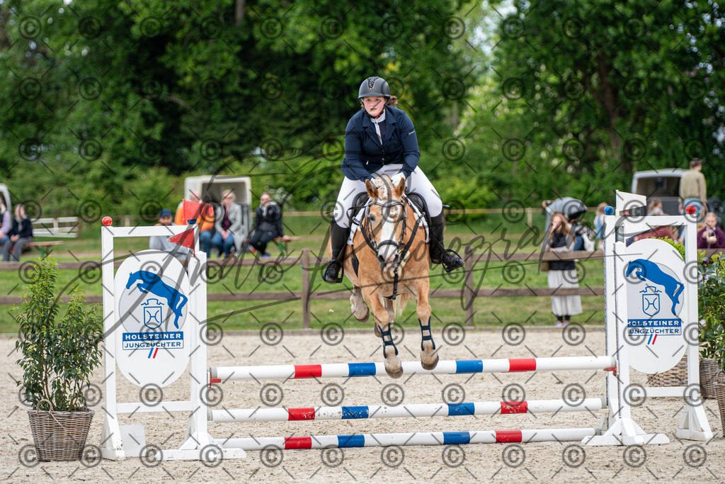 KPT_6339 | andre_photographic