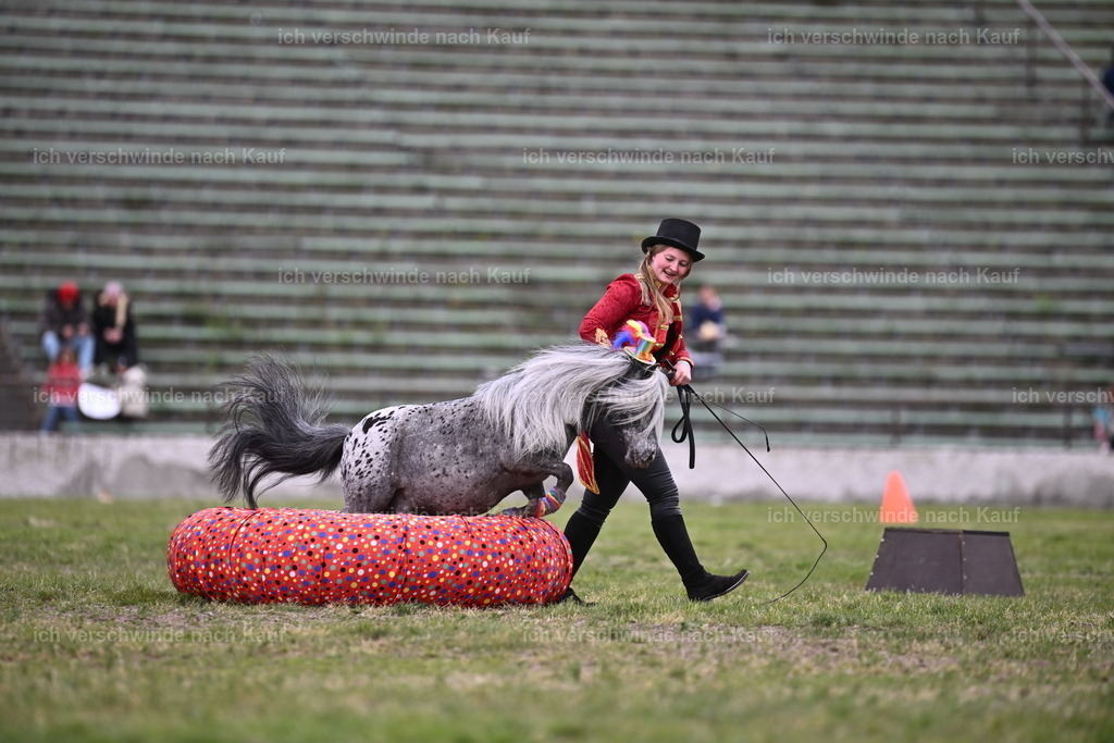 PI26_Show_Sara_Landvogt_226_1761.JPG | working equitationturnier fotograf videograf stoibphotography marixx film working equitation deutschland reitsport turnierfotografie eventfotografie equestrian events