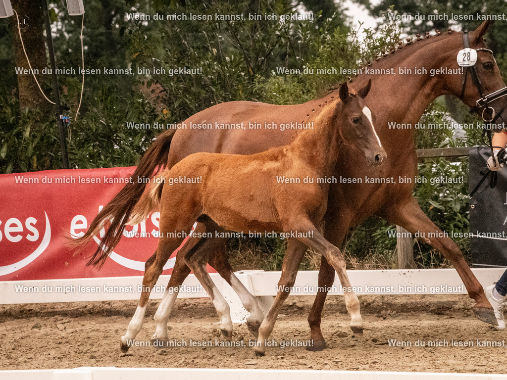 A10I2197 15.54.45 | photographylinaismer - Realisiert mit Pictrs.com