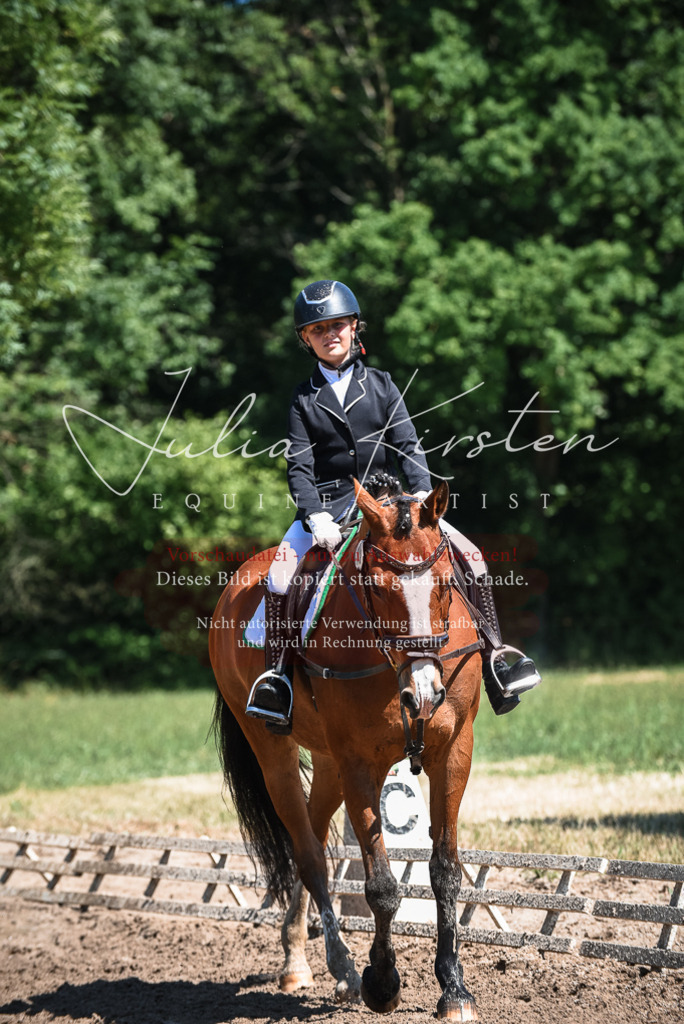 DSC_3408 | Pferde- und Turnierfotografie in Westsachsen. Pferdeportraits, Auftragszeichnungen und intuitive Kunst.