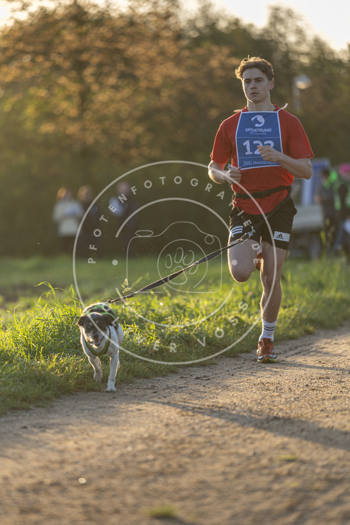 Pfotenfotografie.de_DV3A2402 | Hundefotografie, Tierfotograf, Pfotenfotografie, Fotoshooting Hund, Hunde Portrait, Hundesport, Hundeportraits, Heideshooting, Hunde, Sportfotograf, Hundefotograf, Turnierhundsport, THS, canicross - Realisiert mit Pictrs.com