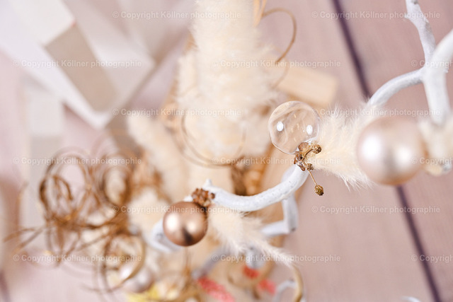 DSC_9393 | Homepage von Tobias Köllner