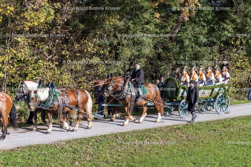 LBT24-691 | foto-bettina-krinner - Realisiert mit Pictrs.com