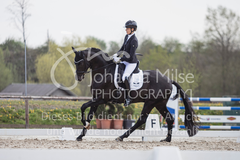 250416_Dressurpferde-L-226 | Deine schönsten Turniermomente als professionelle Fotos! Entdecke hochwertige Pferdesport-Fotografie im Online-Shop. Jetzt Fotos finden & bestellen!