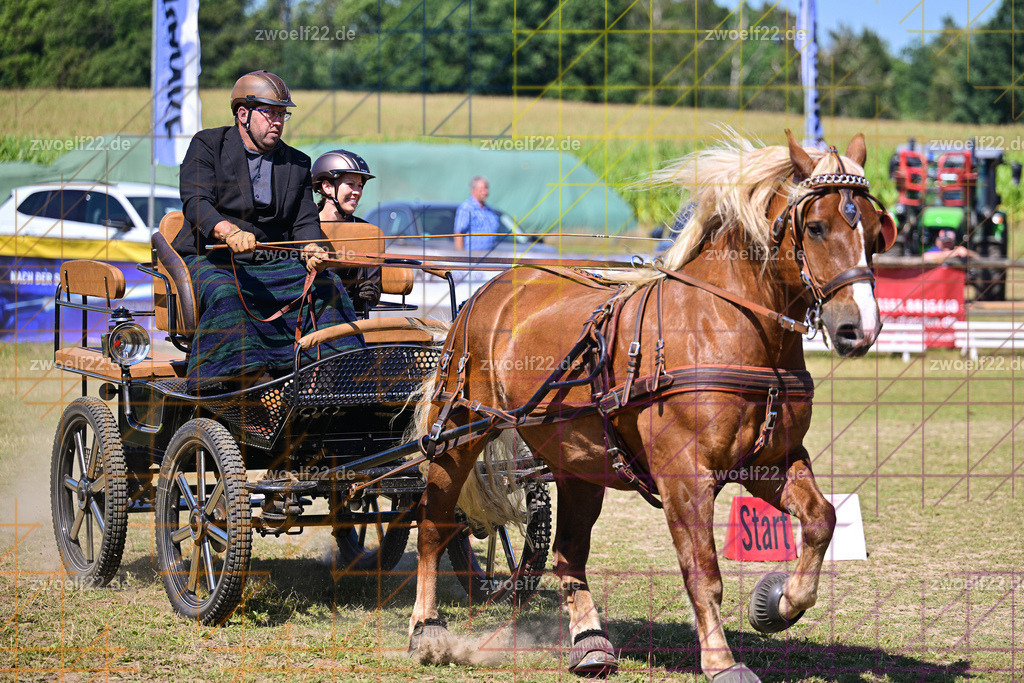 30 Jahre RFV Pulsnitz e.V., Pulsnitz am 09.08.2026 | Zur 28. breitensportlichen Veranstaltung des RFV Pulsnitz e.V. fanden verschiedene Wettbewerbe in nahezu allen Disziplinen des Pferdesport statt. - 18 Kegel-Fahr-Wettbewerb - Realisiert mit Pictrs.com