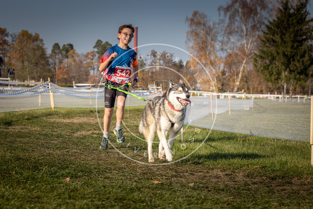 CaniXpix_0L8A9053 | Hundefotografie, Tierfotograf, Pfotenfotografie, Fotoshooting Hund, Hunde Portrait, Hundesport, Hundeportraits, Heideshooting, Hunde, Sportfotograf, Hundefotograf, Turnierhundsport, THS,  - Realisiert mit Pictrs.com