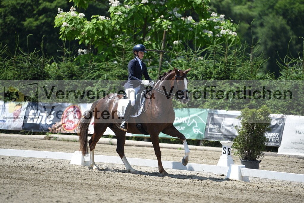 DSC_0766 | equestrian-live-com