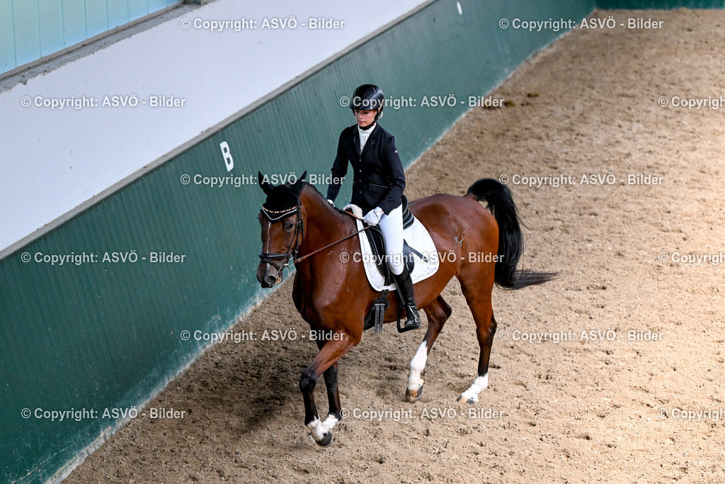 ASVÖ_ Reiten Bezirksmeisterschaft_ 24.08.2025-42 | 24.08.2025, AUT, ASVÖ, Reiten Bezirksmeisterschaft 2025Dressur und Springreiten©fodo.media / Harald Dostal - Realisiert mit Pictrs.com