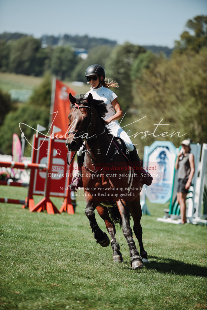 DSC_3225 | Pferde- und Turnierfotografie in Westsachsen. Pferdeportraits, Auftragszeichnungen und intuitive Kunst.