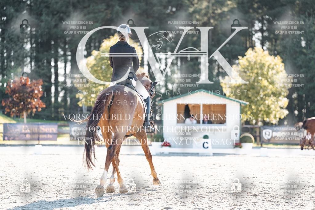 CK906640 | Turnierfotografie Pferdefotografie Trier Rheinland-Pfalz Pferdesport Reitsport Tierfotografie Sportfotografie Pferdevideo Pferdevideografie Equestrianvideography equestrianphotography  - Realisiert mit Pictrs.com
