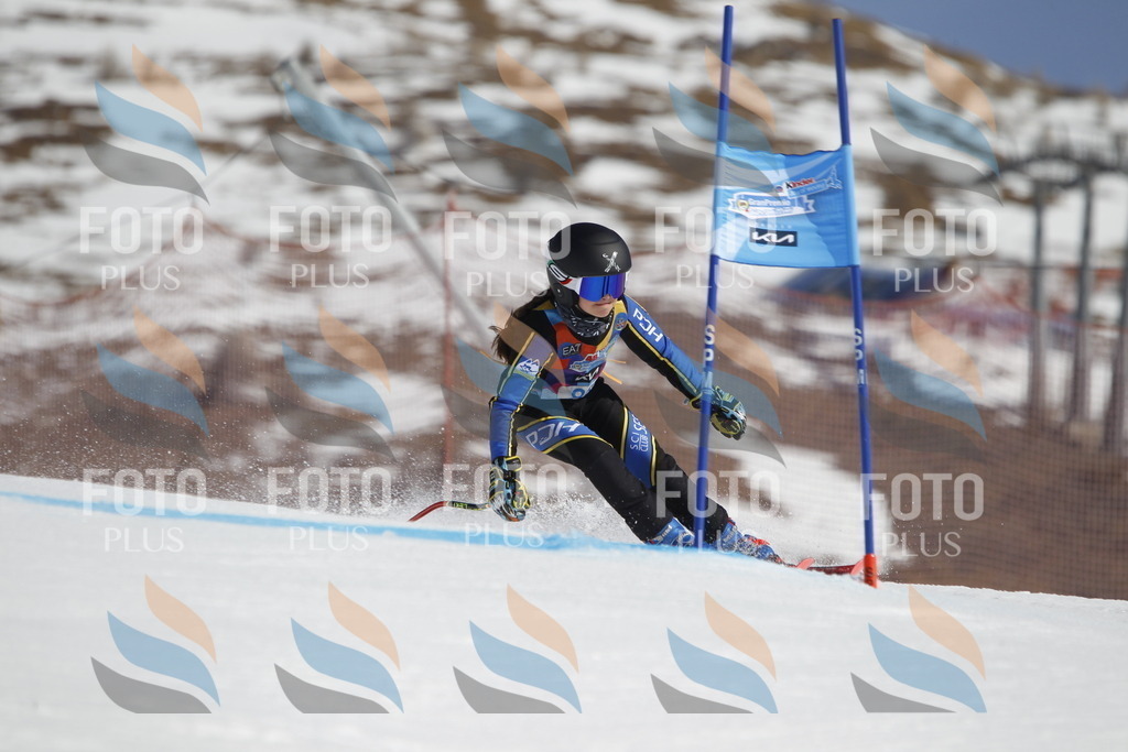 _U3G0081 | holidayphoto