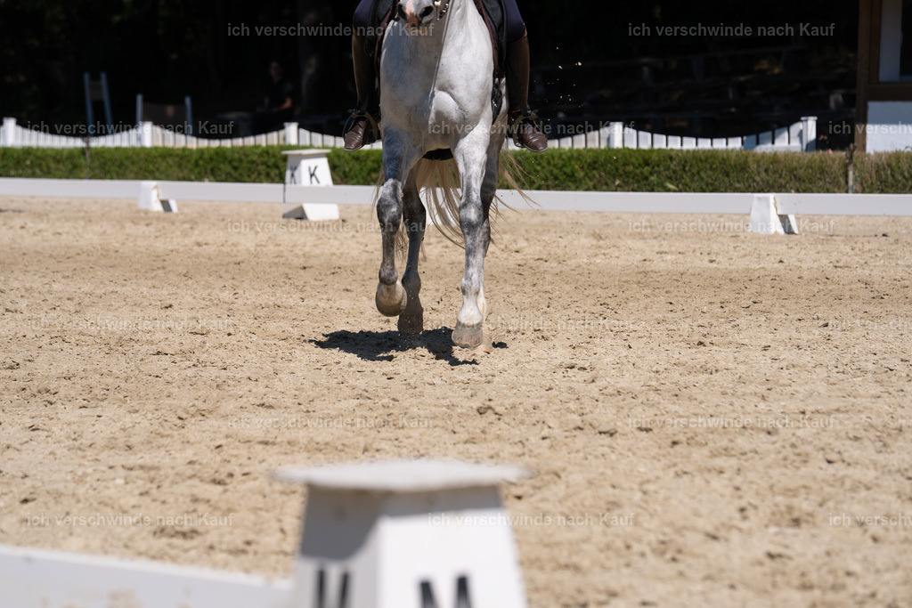 WS_DR_139_sinafilmart_IN03749 | working equitationturnier fotograf videograf stoibphotography marixx film working equitation deutschland reitsport turnierfotografie eventfotografie equestrian events