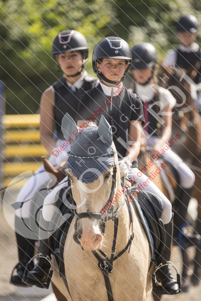 IMG_5722 | Sport-, Event- und Tierfotos in Profiqualität. Einfach auswählen, bestellen und herunterladen. Dein Moment – perfekt festgehalten.
