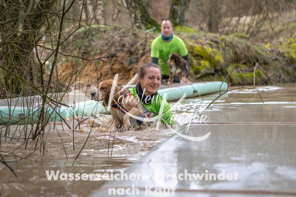 0954_ZZ91684-Bearbeitet | kk-dogfotos