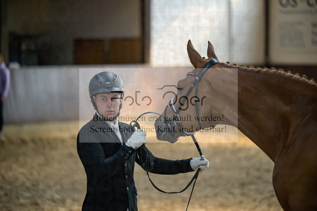 Reitturnier Voxtrup | Entdecke hochwertige Reitturnierfotos von Foto Oger. Professionell, emotional und authentisch – jetzt Lieblingsmomente im Shop bestellen.Deutschlandweite Turnierfotografie. - Realized with Pictrs.com