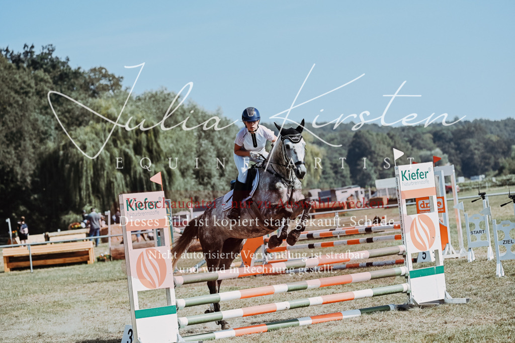 DSC_9323 | Pferde- und Turnierfotografie in Westsachsen. Pferdeportraits, Auftragszeichnungen und intuitive Kunst.
