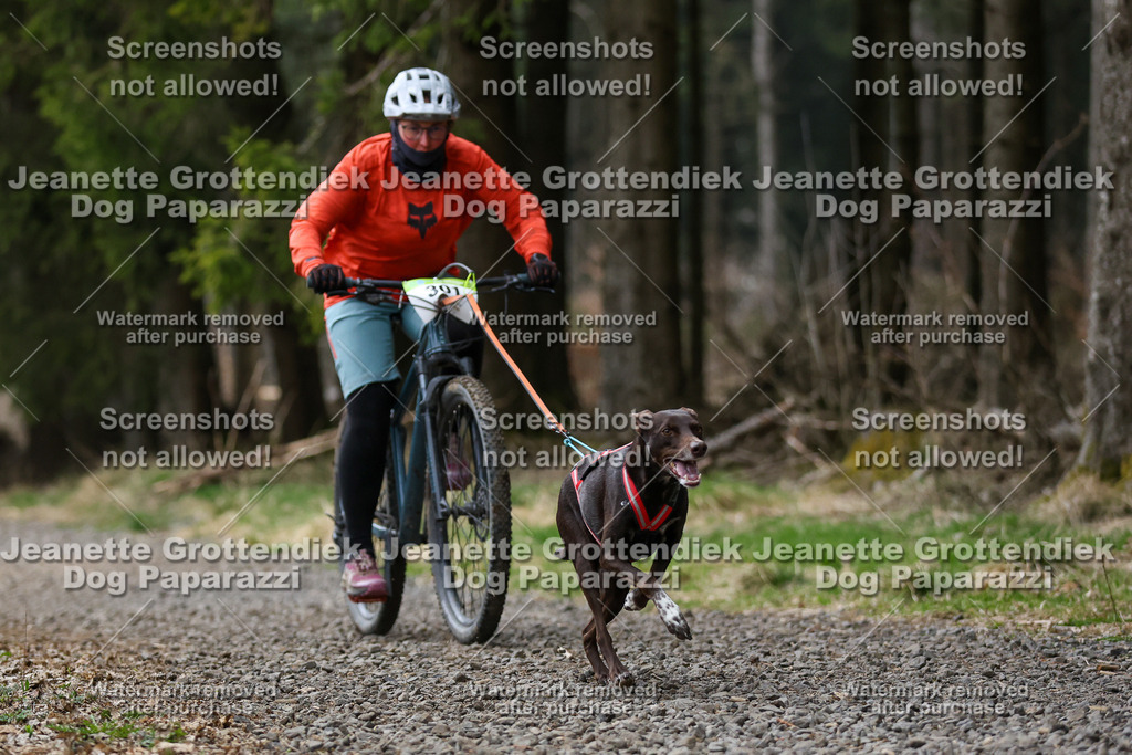 Dog Paparazzi - VCC26-564 | Dog Paparazzi Jeanette Grottendiek Fotografie & Videografie - Realisiert mit Pictrs.com