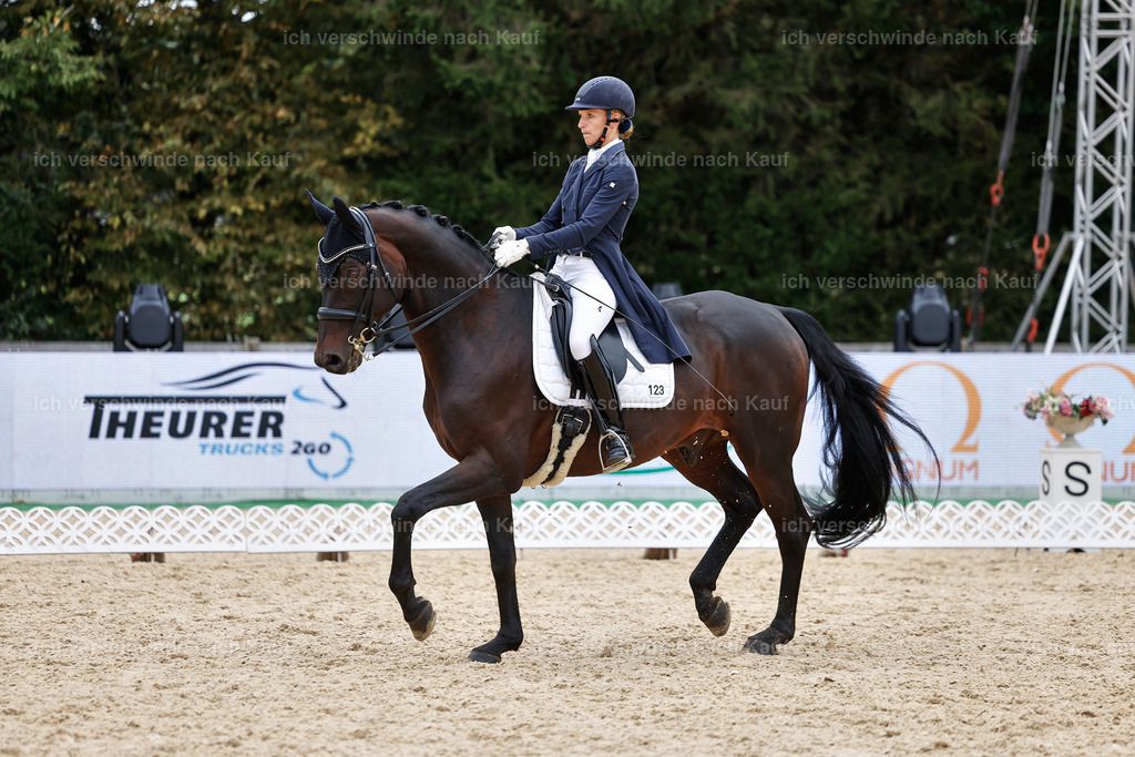 11-123-Dressur S___-StoibPH-1379 | working equitationturnier fotograf videograf stoibphotography marixx film working equitation deutschland reitsport turnierfotografie eventfotografie equestrian events