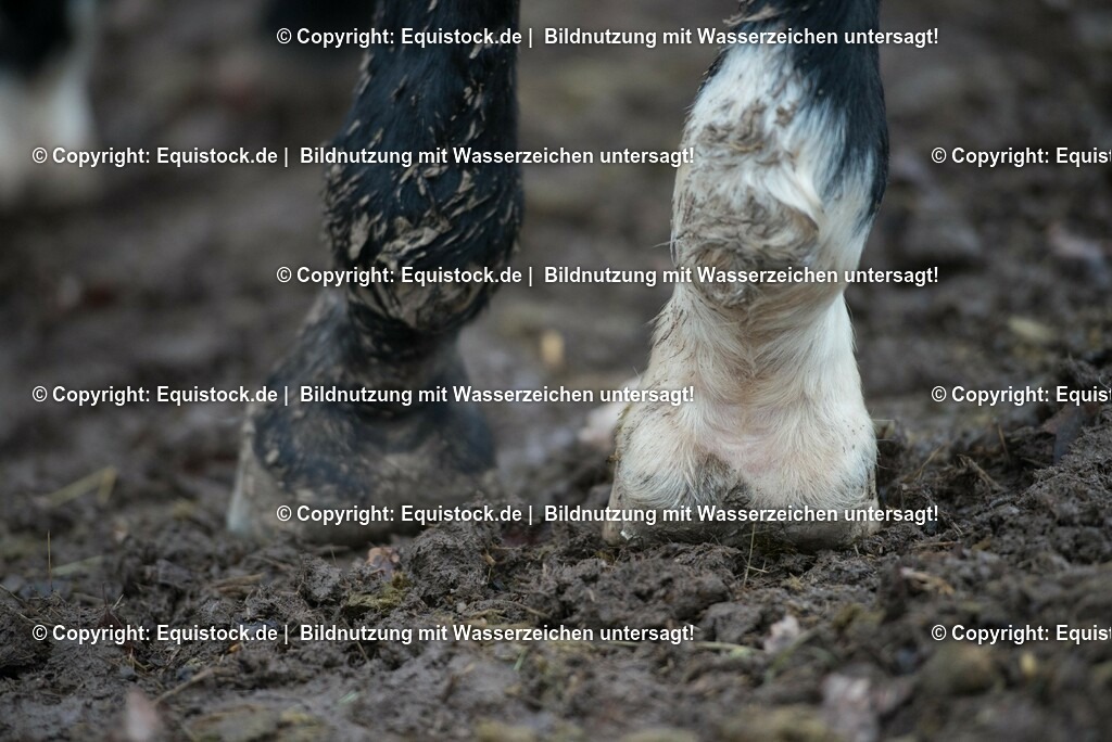 20171206_Huf_dreckig_Hartig_0002 | Foto: Thomas Hartig