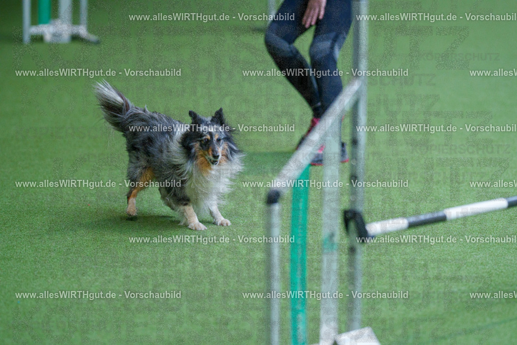 @allesWIRTHgut_Tierfotografie - www.allesWIRTHgut.de - 2604261458-7R504189 | Professionelle Tierfotografie in Mönchengladbach von Daniel Wirth (allesWIRTHgut). Liebevolle & natürliche Bilder von Hunden & Katzen für unvergessliche Erinnerungen.