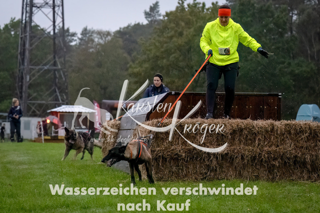 0809-_ZZ90487-Bearbeitet-Bearbeitet | kk-dogfotos