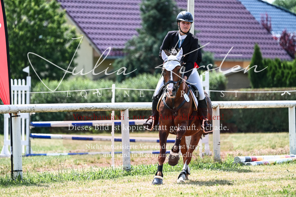 DSC_9466 | Pferde- und Turnierfotografie in Westsachsen. Pferdeportraits, Auftragszeichnungen und intuitive Kunst.