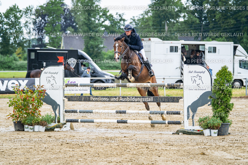 DSC03821 | Pferdegrafie