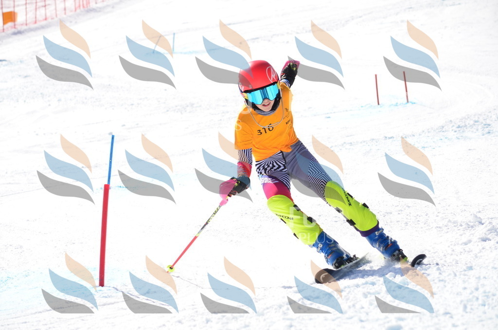 C9557 | holidayphoto