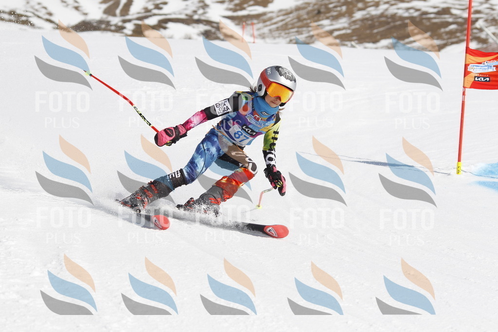 _U3G0109 | holidayphoto